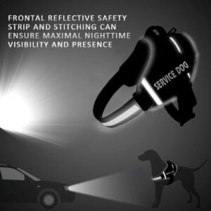 safety strip