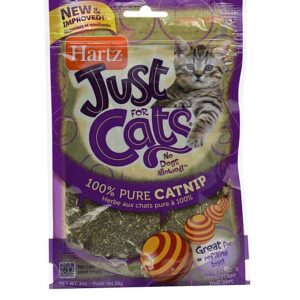 Catnip