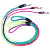 Rainbow Leash Puppy and Dog, Image