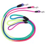 Rainbow Leash Puppy and Dog, Image