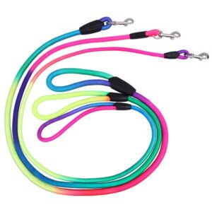 Rainbow Leash Puppy and Dog, Image