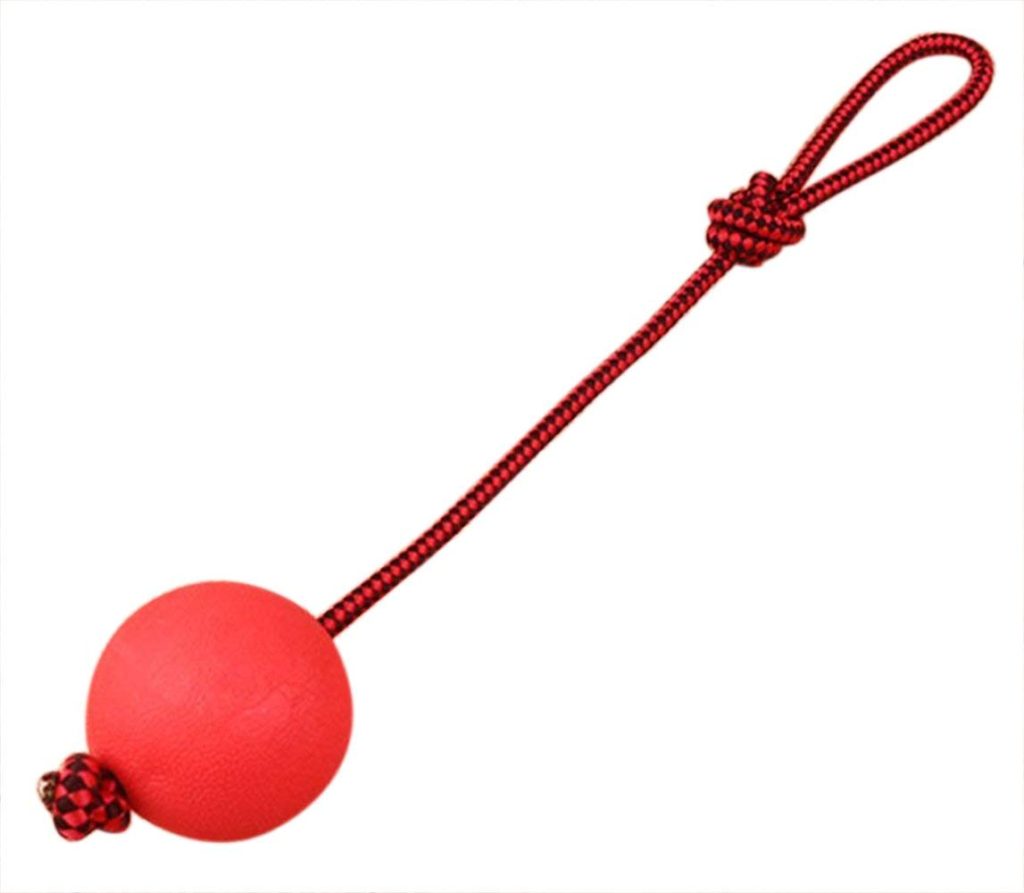 Ball With Rope Toy Pets - Reem Pet Store