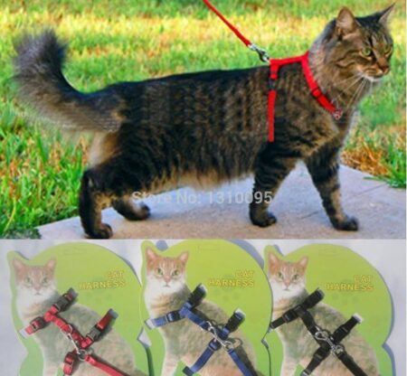 Nunbell Puppy Nylon Harness