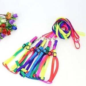 Puppy and Cat Harness
