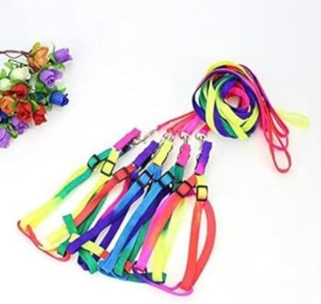 Puppy and Cat Harness
