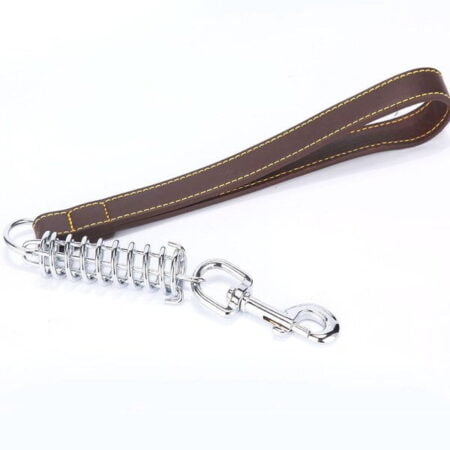 Spring Leash For Dogs