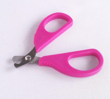 Nail Scissors Cat Dog
