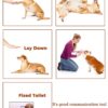 Dog Training Clicker - Reem Pet Store