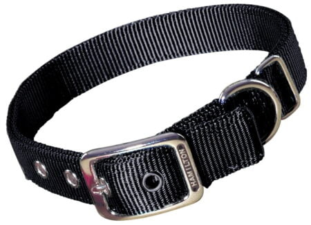 Double Thick Nylon Dog Collar with Buckle