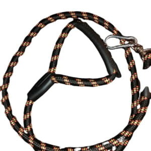 Leash for dog with handle