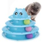 cat toy