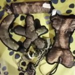 Dog Training Kit- Reem Pet Store