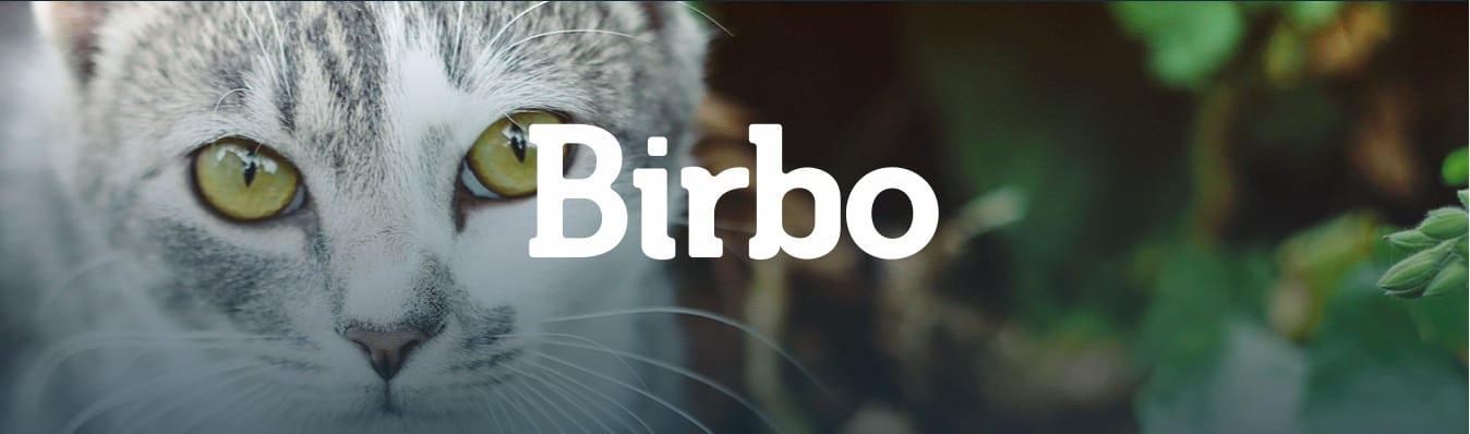 birbo banner