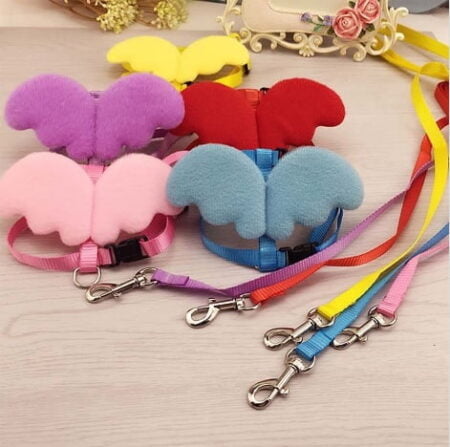 car harness butterfly- Reem Pet Store