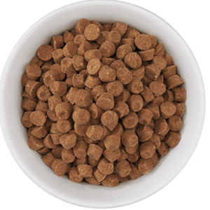 Dry Cat Food