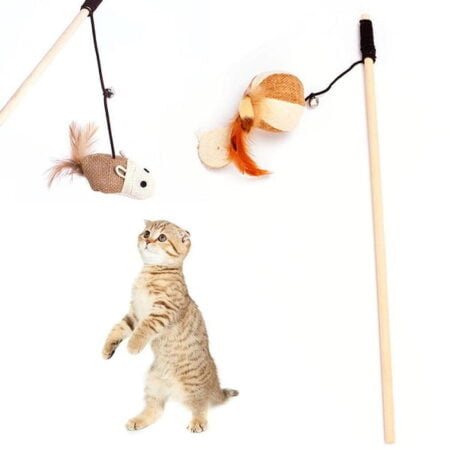 Cat Playing Stick