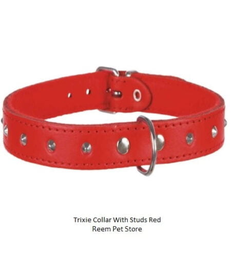 Trixie collar with studs- Reem Pet Store