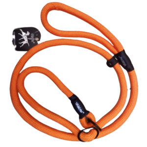Rope leash for dogs adjustable
