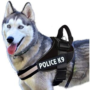 Dog Harness XXL- Reem Pet Store