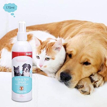 Bioline flea and tick spray - Reem Pet Store