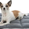 Triixe lying mat- Reem Pet Store