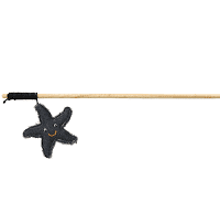 Trixie cat toy rod with star fish