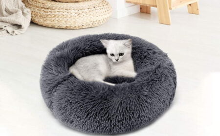 Cat Round Bed - Reem Pet Store