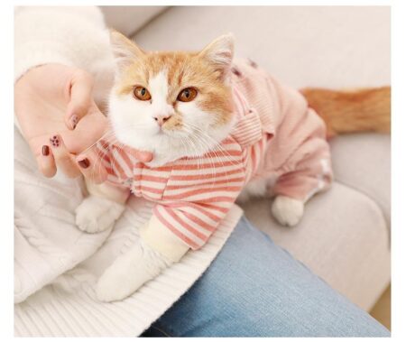 Rompers Kitten and Cats