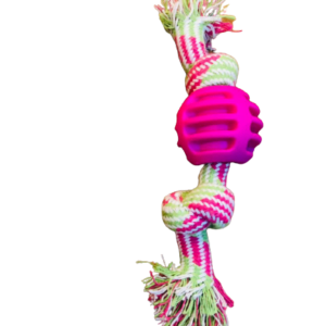 Toy Ball - Reem Pet Store