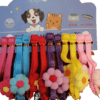 Fancy Cat Collar - Reem Pet Store