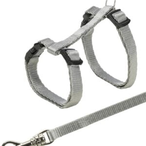 Kitten Harness with leash