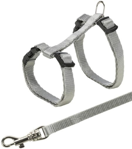 Kitten Harness with leash