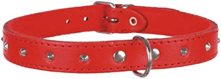 Trixie Basic collar with studs