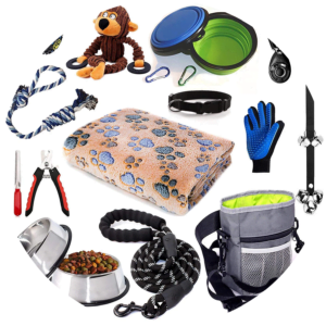 Dog Accessories