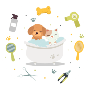 Care and Hygiene