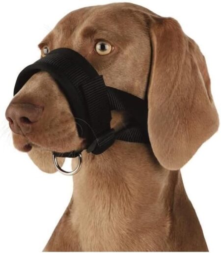Trixie Muzzle Loop Nylon 19282