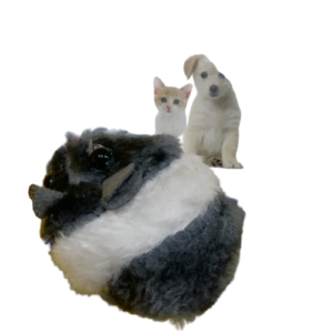 Image of Cat Vibrating mouse toy.