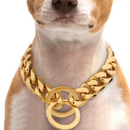 Gold Chain Pet Dog