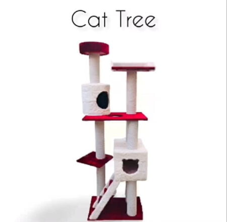 Cat Scratcher Curve & Round