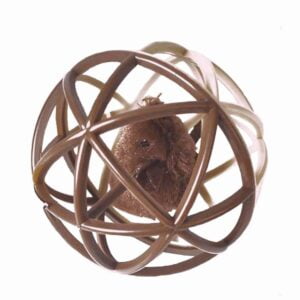 Image of cat kitten cage toy