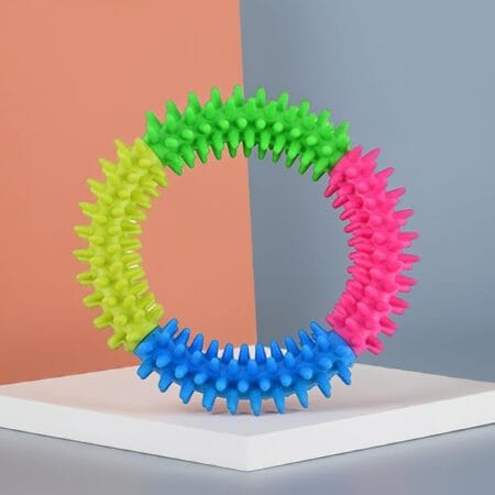 Dog Teether with Spikes
