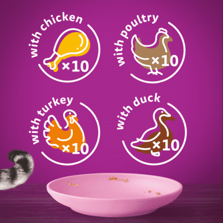 Whiskas poultry feast kitten jelly 5