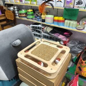 Image of Cat Food Scratcher with spring feathers attached.