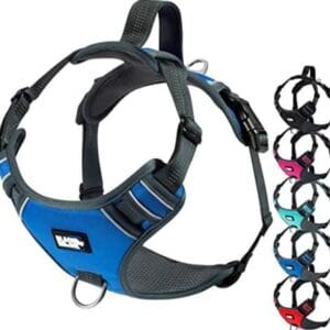 Full Body Dog Harness
