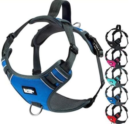 Full Body Dog Harness