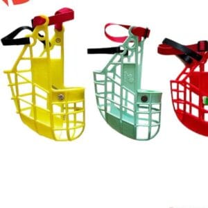 Greyhound breed Muzzle