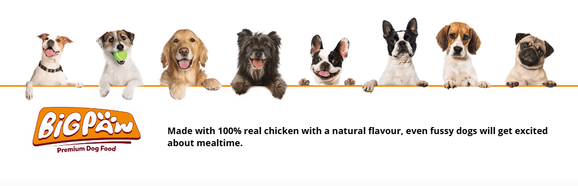 Big Paw Banner