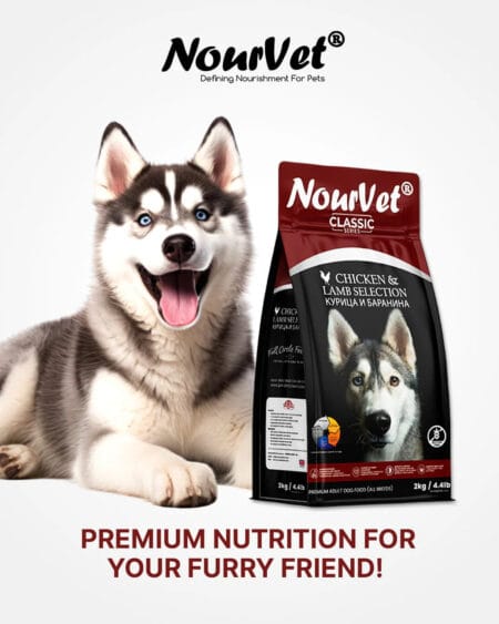 Nourvet Dog Food with Chicken and Lamb – Premium dual protein formula for all dog breeds at Reem Pet Store Pakistan.