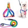 Rainbow Leash With Harnes Dogs L 2