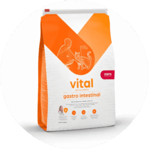 Veterinary Cat Diets